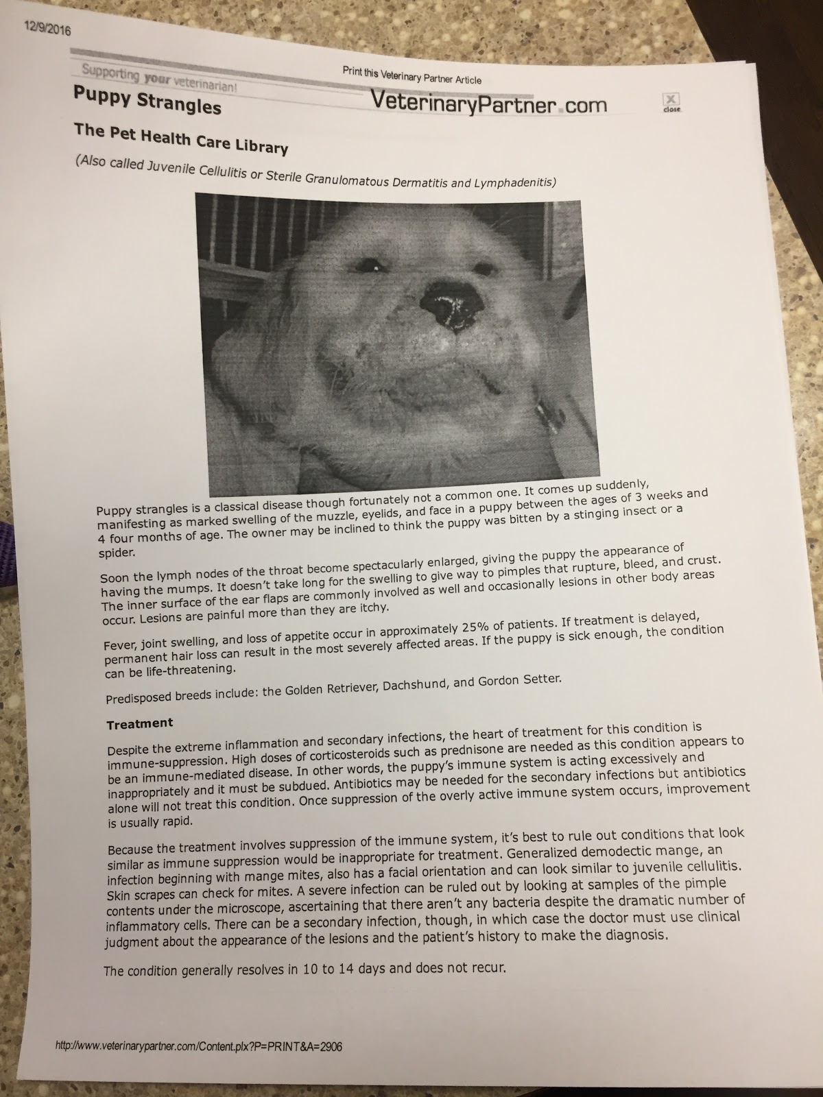 Cambrian Animal Hospital Alberta - Calgary , Canada