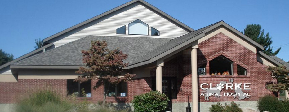 Clarke Animal Hospital - Spring Lake , United States