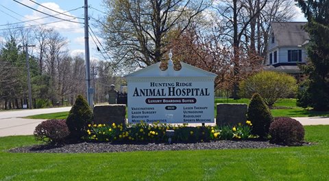 Hunting Ridge Animal Hospital - Sharon Center , United States