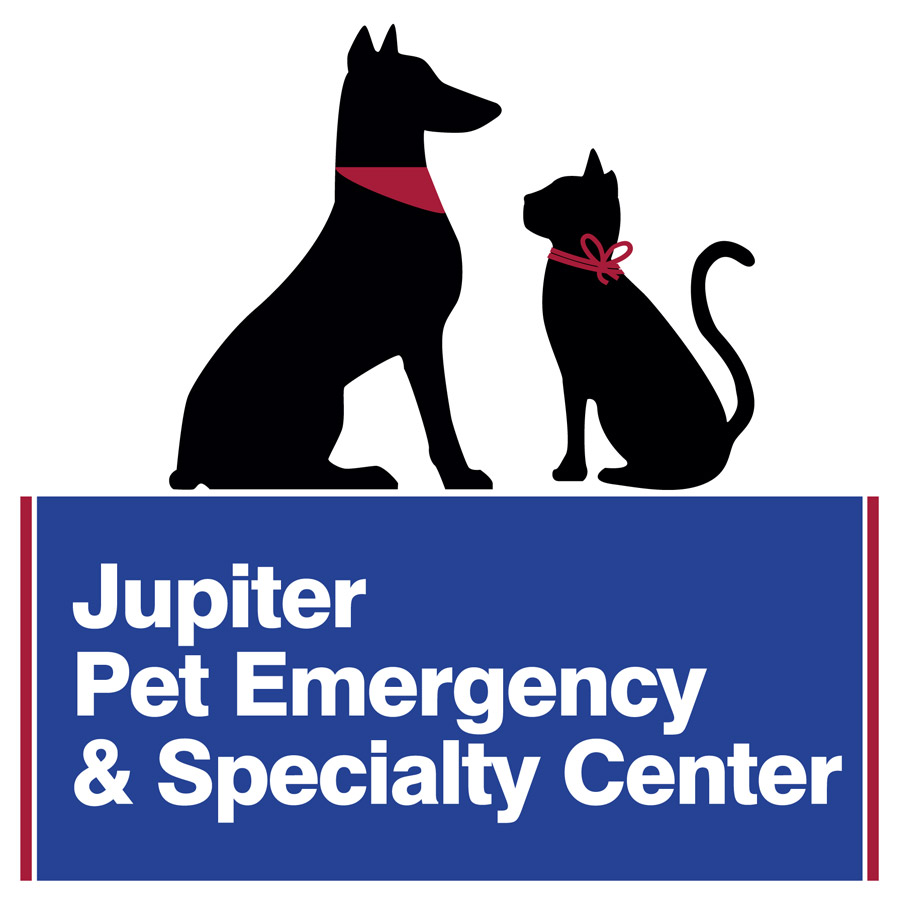 Medvet Jupiter - Jupiter , United States