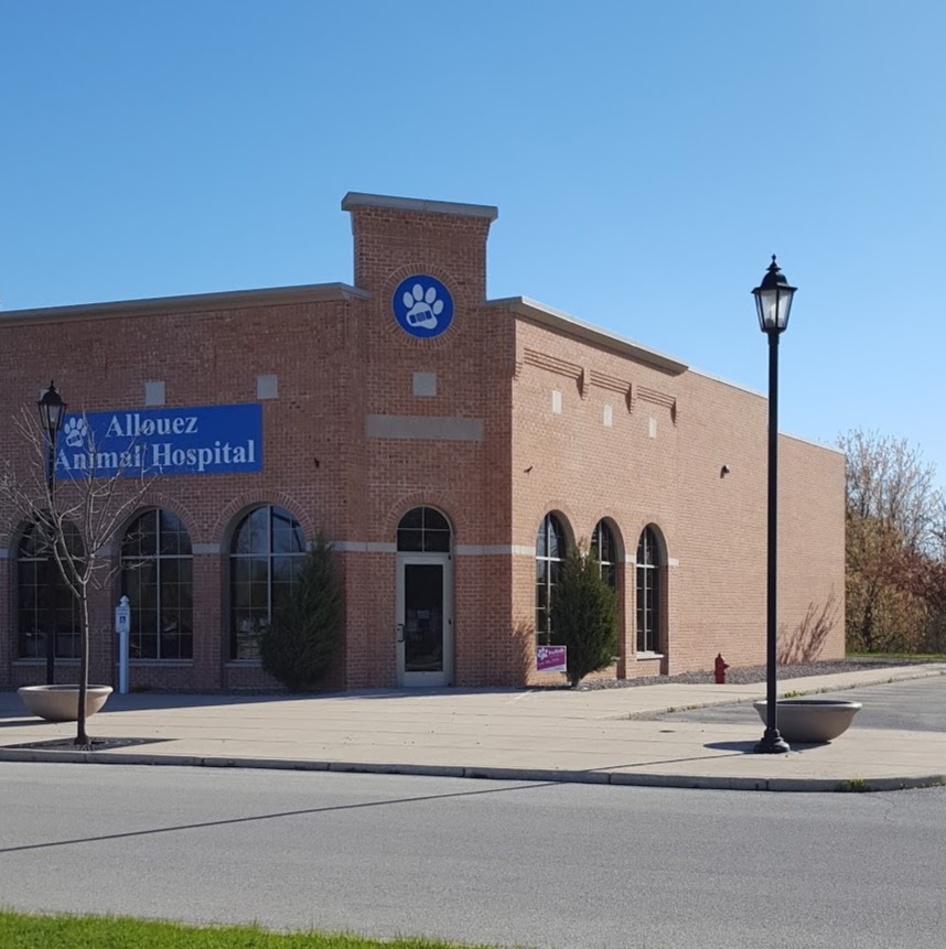 Allouez Animal Hospital - Green Bay , United States