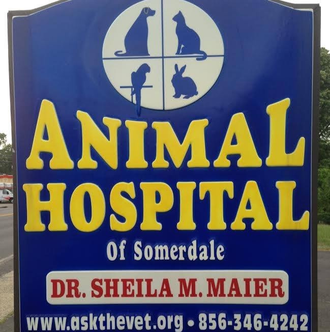 Animal Hospital Of Somerdale - Somerdale , United States