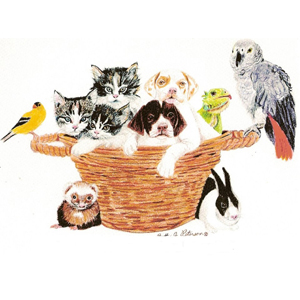 Colonial Manor Animal Hospital - Homer Glen , United States