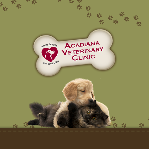 Acadiana Veterinary Clinic - Lafayette , United States