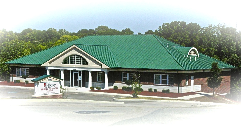 Pfister Animal Hospital - West Chester Township , United States