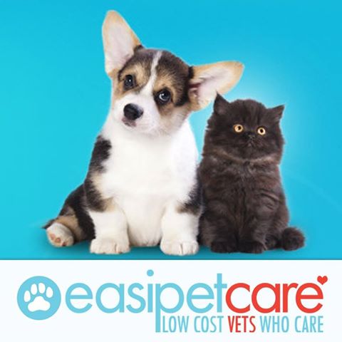 Easipetcare  - Corby , United Kingdom