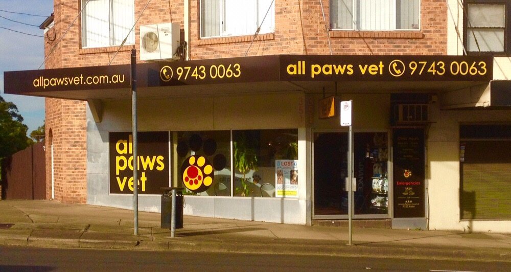 All Paws Vet - Concord West , Australia
