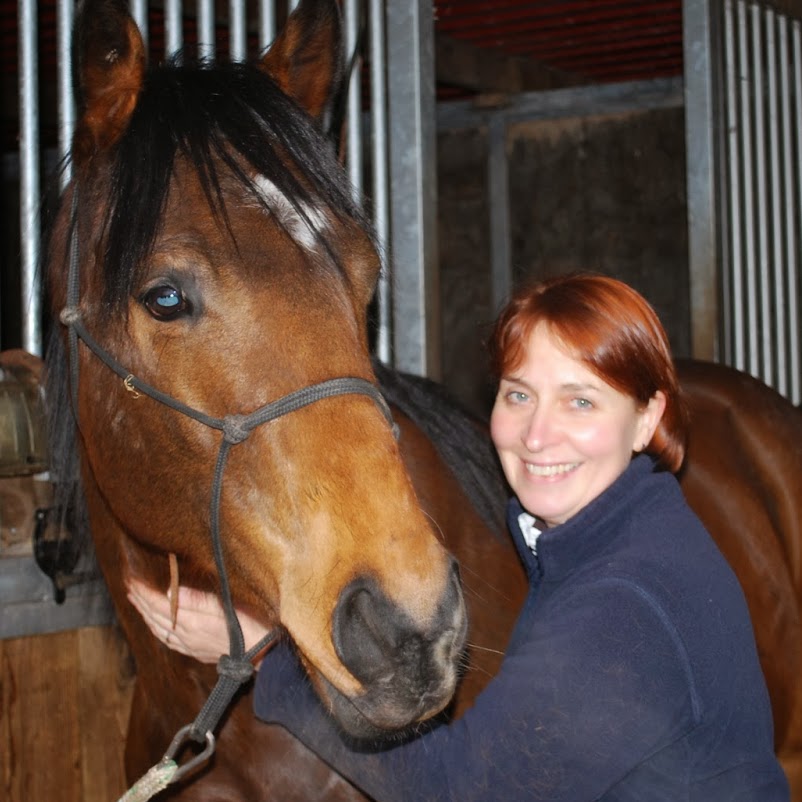 Macarthur Barstow And Gibbs Droitwich Vets - Droitwich , United Kingdom