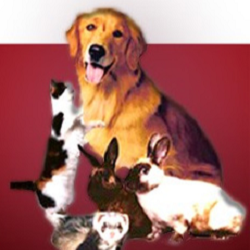 Eastside Animal Hospital - East Lansing , United States