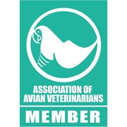 Mayfair Veterinary Clinic - Sandy Bay , Australia