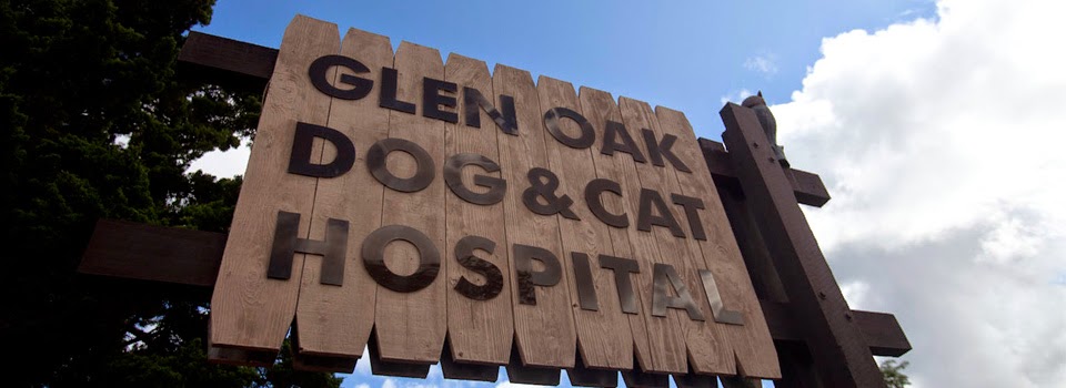 Glen Oak Dog And Cat Hospital - Glenview , United States