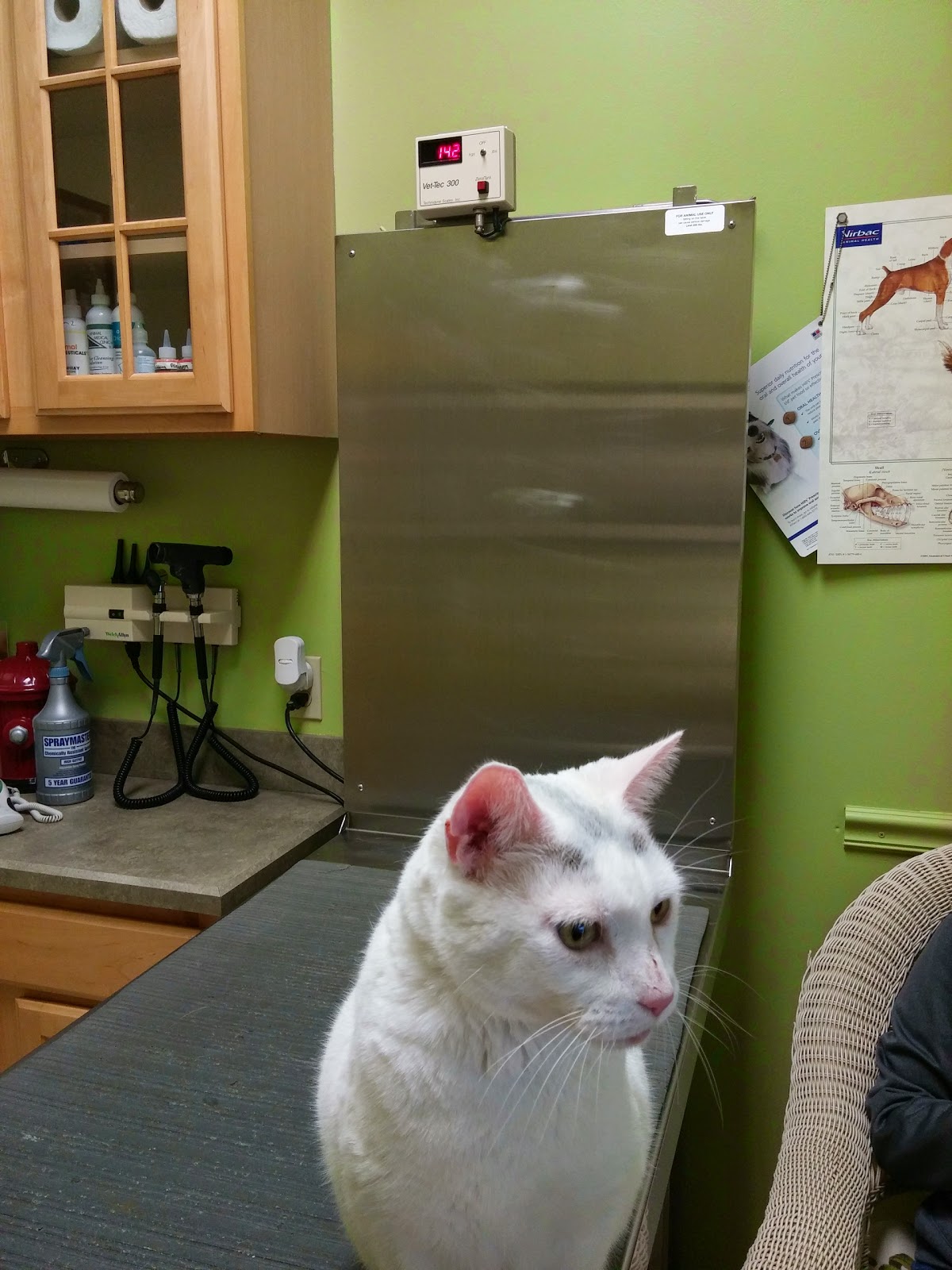 Animal Medical Clinic At St Johns - St Johns , United States