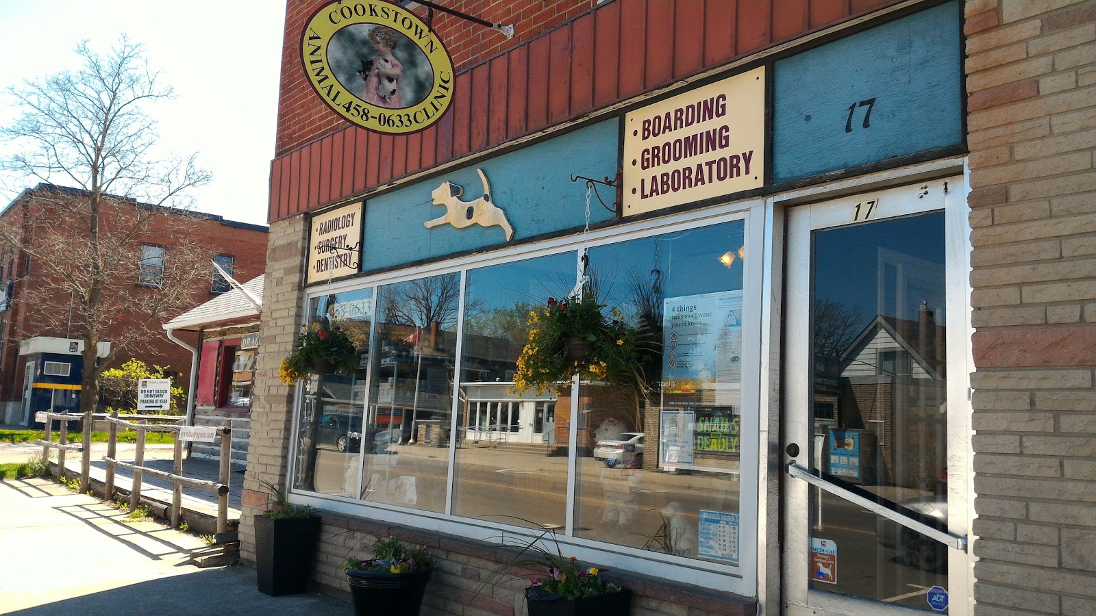 Cookstown Animal Clinic - Cookstown , Canada