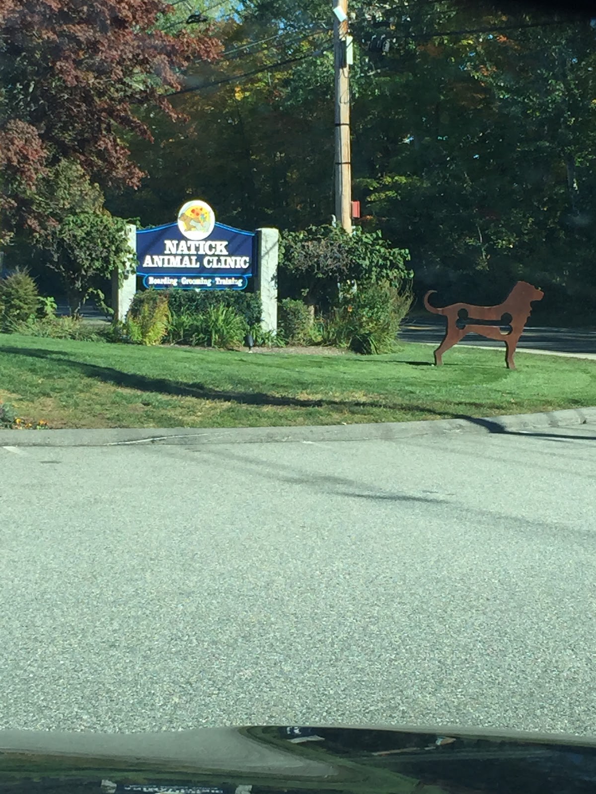 Thrive Pet Healthcare At Natick - Natick , United States