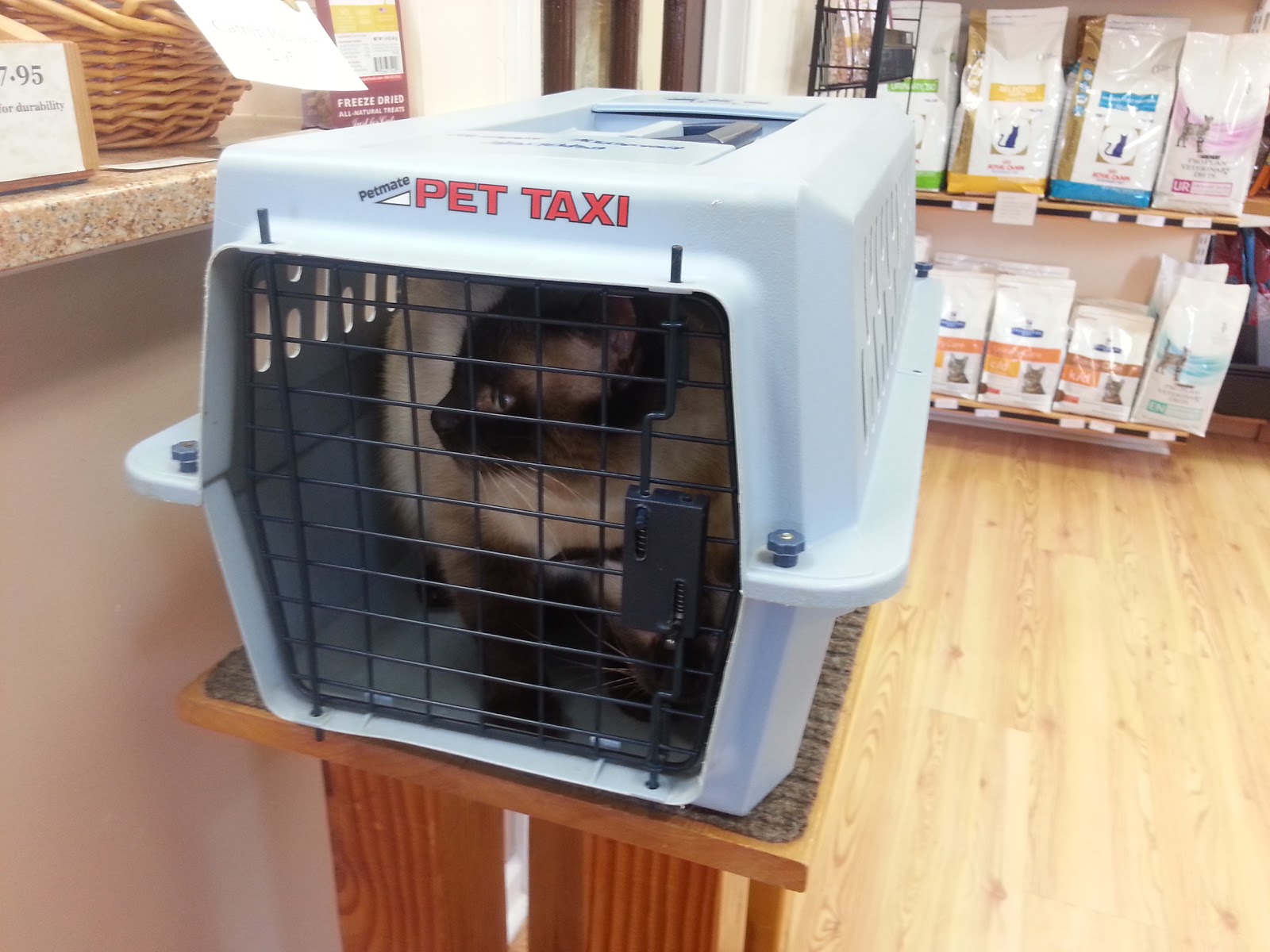 Frederick Cat Vet - Frederick , United States