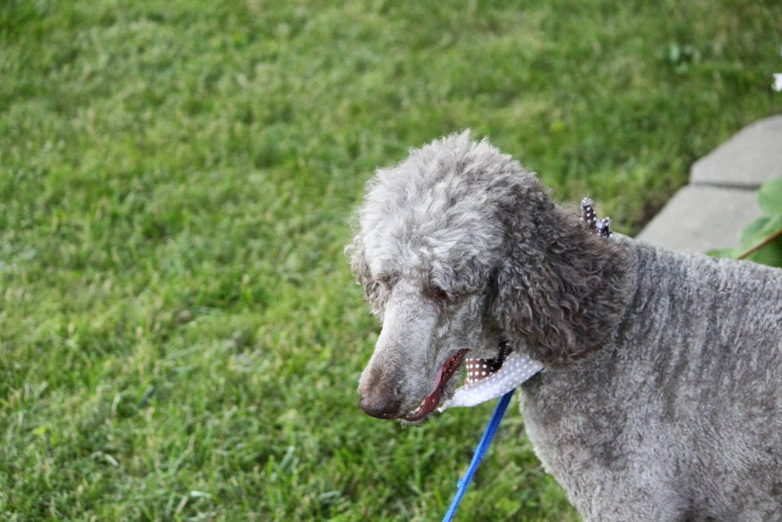 East Moline Animal Clinic Ltd - East Moline , United States