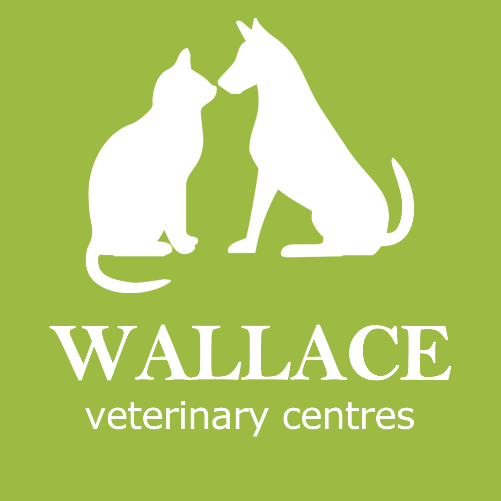 Wallace Vets Carnoustie - Dundee , United Kingdom