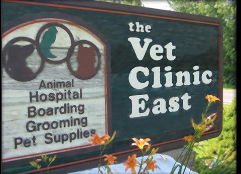 Vet Clinic East - Columbus , United States