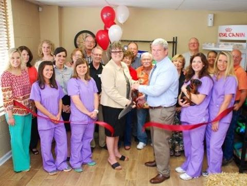 Morgan Animal Hospital - Hartselle , United States