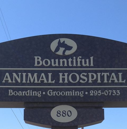 Bountiful Animal Hospital - Woods Cross , United States