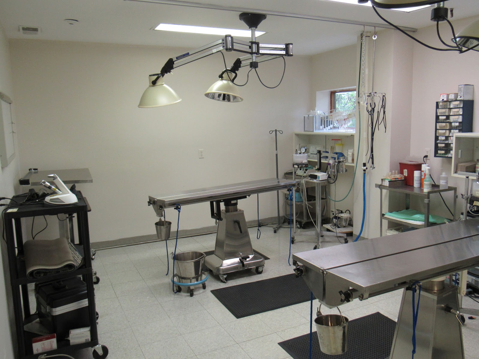 Countryside Veterinary Hospital - North Huntingdon , United States