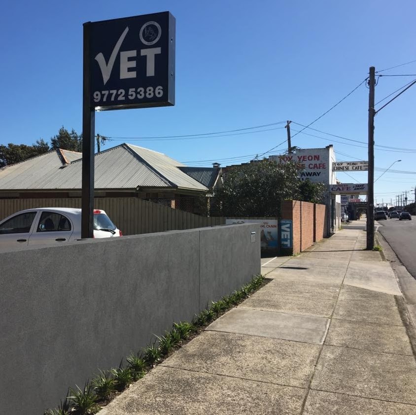 Chelsea Veterinary Clinic - Chelsea , Australia