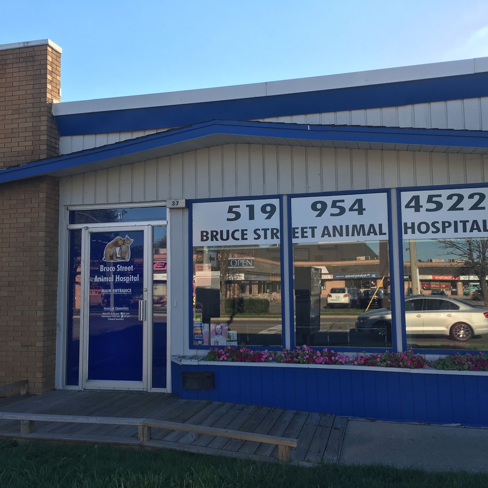 Bruce Street Animal Hospital - Kitchener , Canada