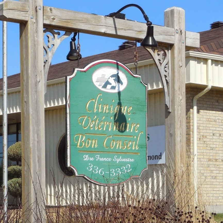 Clinique Vétérinaire Bon Conseil 2011 - Notre-Dame-du-Bon-Conseil , Canada