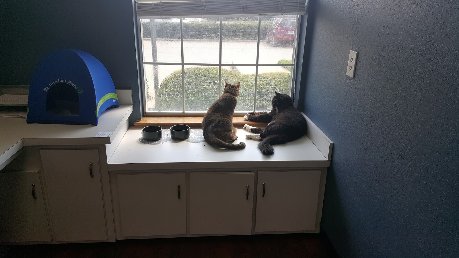 Vca Bedford Meadows Animal Hospital - Bedford , United States