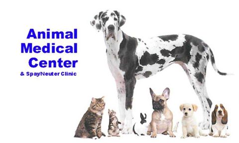 Animal Medical Center Of Mission Viejo - Mission Viejo , United States