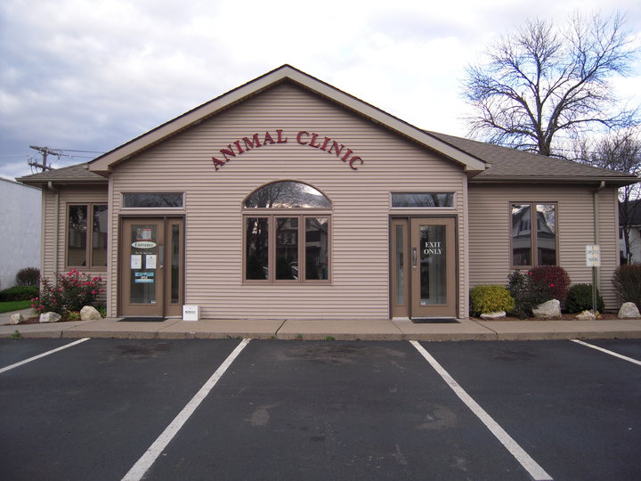 East Hartford Animal Clinic - East Hartford , United States