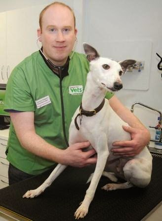 Companion Care Folkestone - Folkestone , United Kingdom