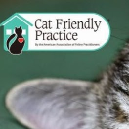 Morrisville Cat Hospital - Morrisville , United States
