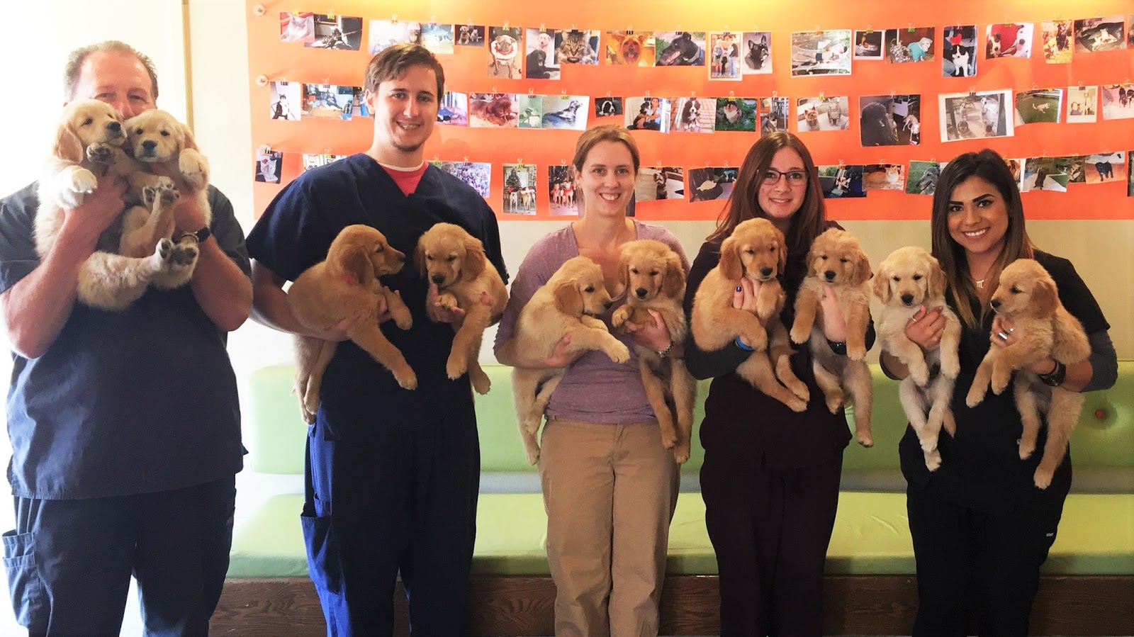 Geary Veterinary Hospital - Walnut Creek , United States