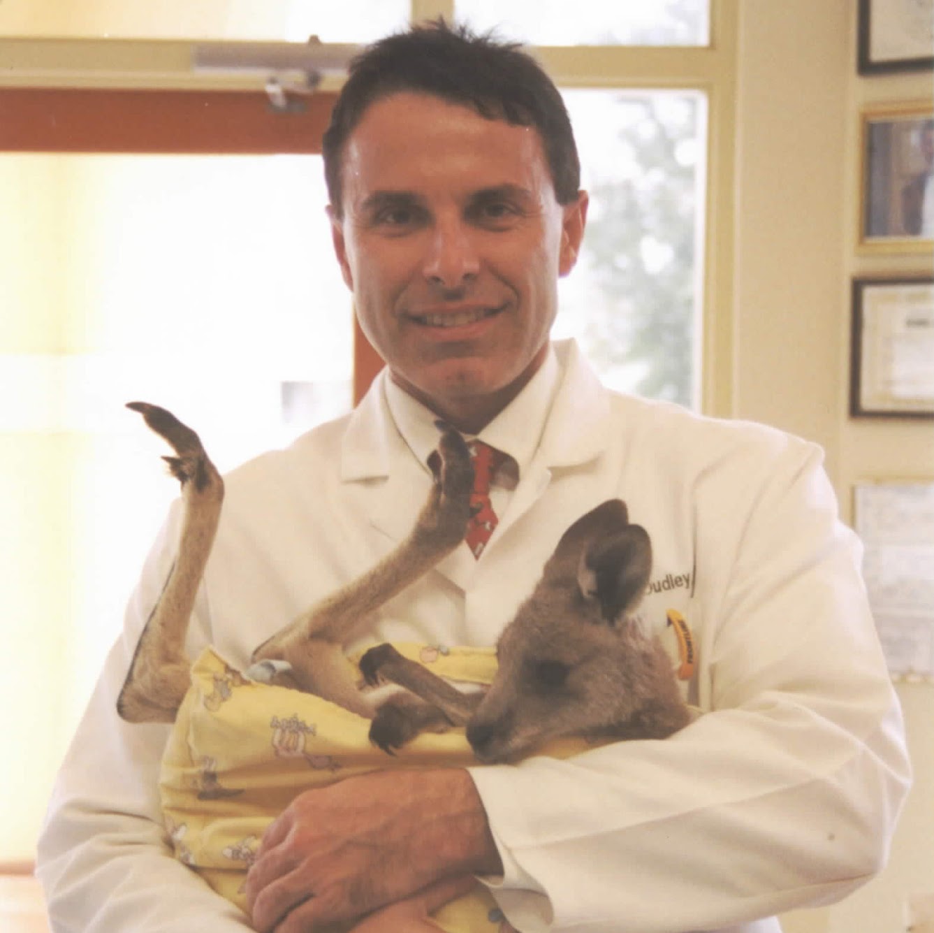 Mitchell Hammock Pet Hospital And Boarding - Oviedo , United States