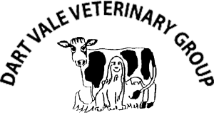 Dart Vale Veterinary Group Totnes - Totnes , United Kingdom