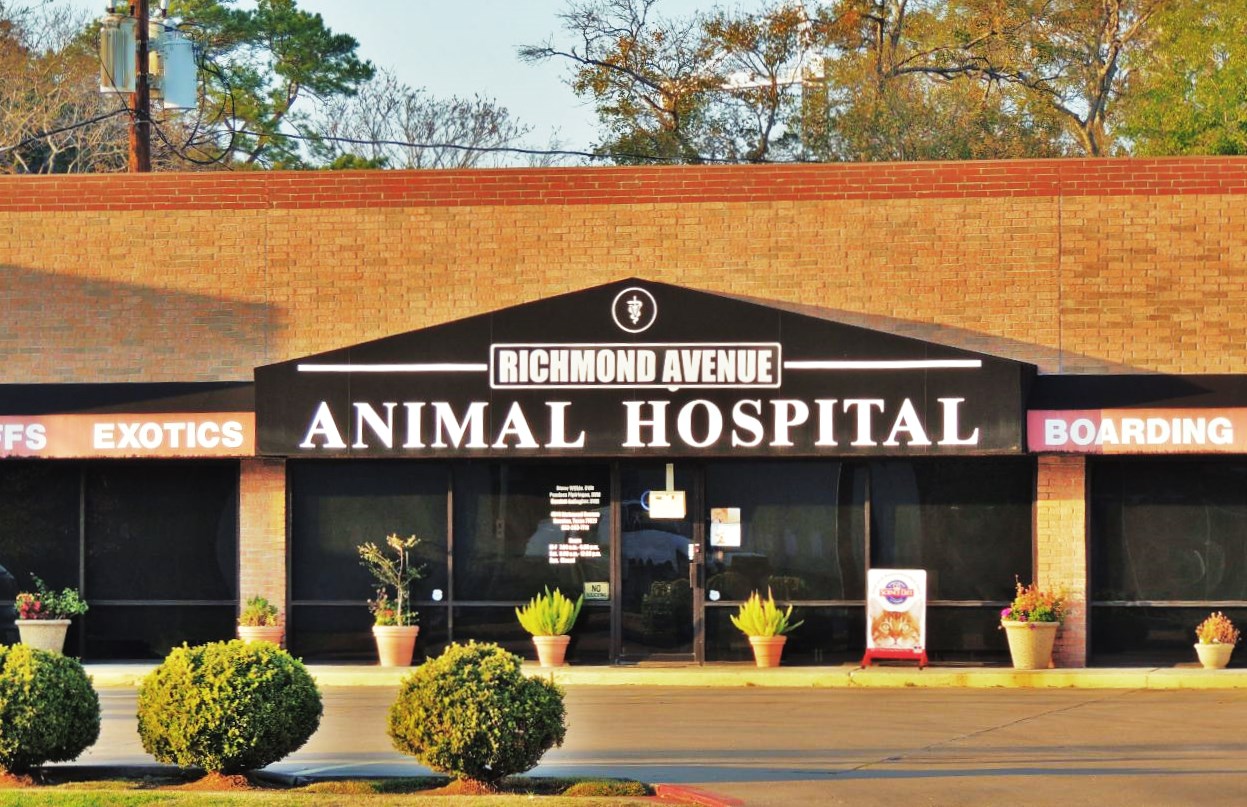 Richmond Avenue Animal Hospital - Houston , United States