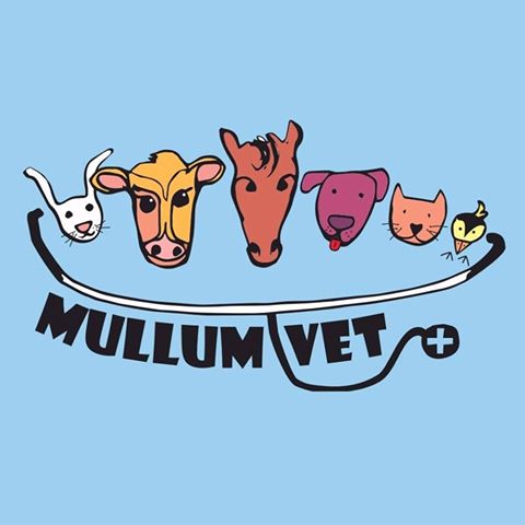 Mullumbimby Veterinary Clinic - Mullumbimby , Australia