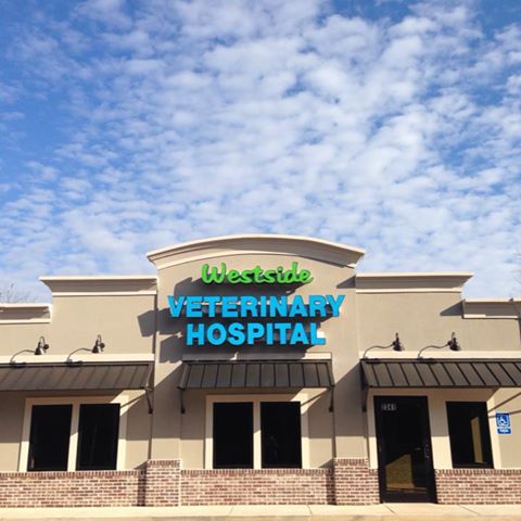 Westside Veterinary Hospital: Palmer Sheila Dvm - Mobile , United States