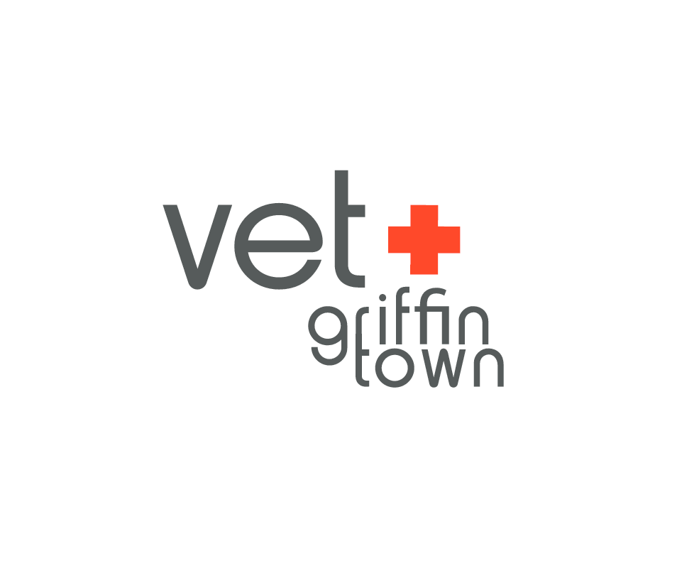 Vet Griffintown Bureau - Montreal , Canada