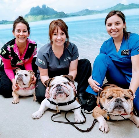 Town and Country Veterinary Hospital and Pleasanton Pet Hotel - Pleasanton , United States