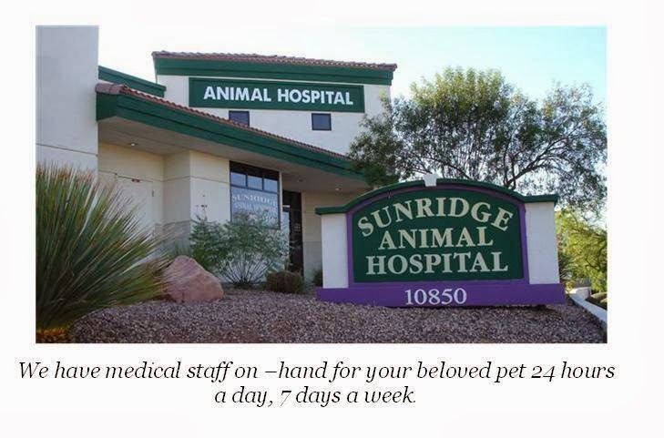 Sunridge Animal Hospital - Henderson , United States