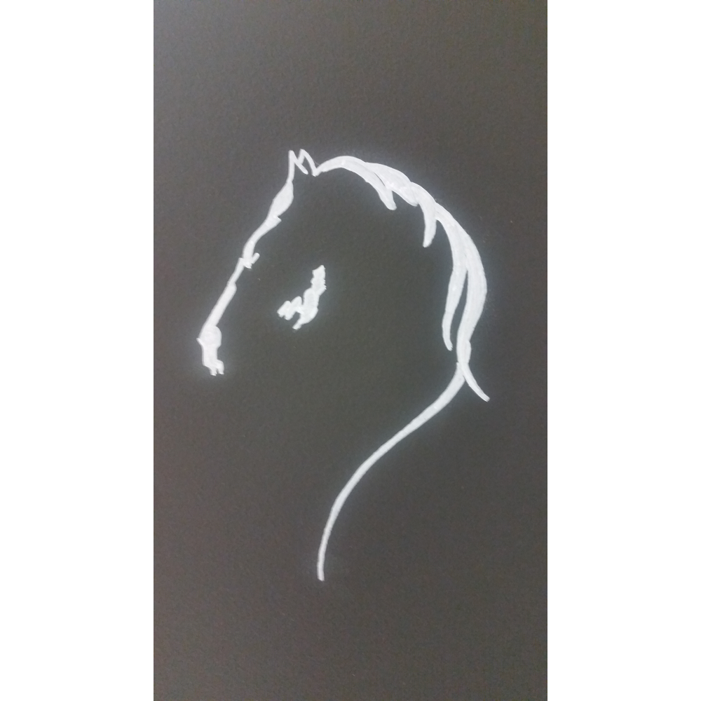 Brazos Valley Equine Hospitals - Salado , United States