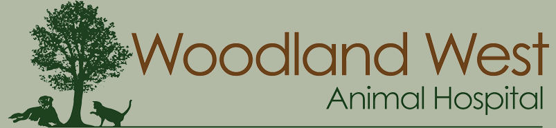 Woodland West Animal Hospital - Tulsa , United States