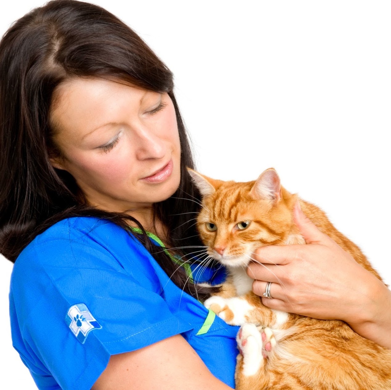 White Cross Vets - Leeds , United Kingdom