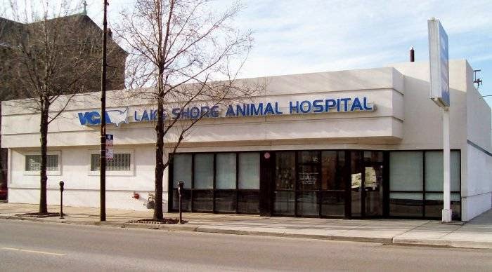 Vca Lake Shore Animal Hospital - Chicago , United States