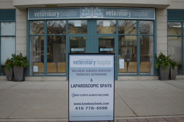 Vca Canada Kew Beach Animal Hospital - Toronto , Canada