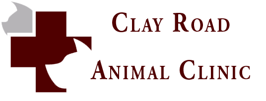 Clay Road Animal Clinic, 17711 Clay Road, Houston, Reviews and