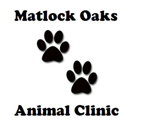 Dr Mikes Affordable Vet Care - Arlington , United States