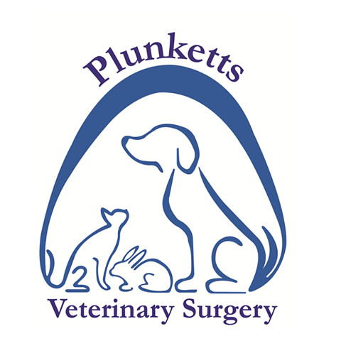 Plunketts Veterinary Surgery Ramsgate - Ramsgate , United Kingdom